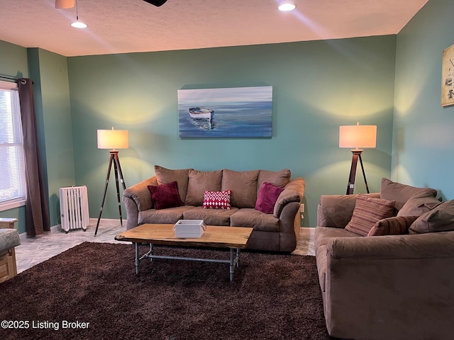 living room with radiator and light carpet