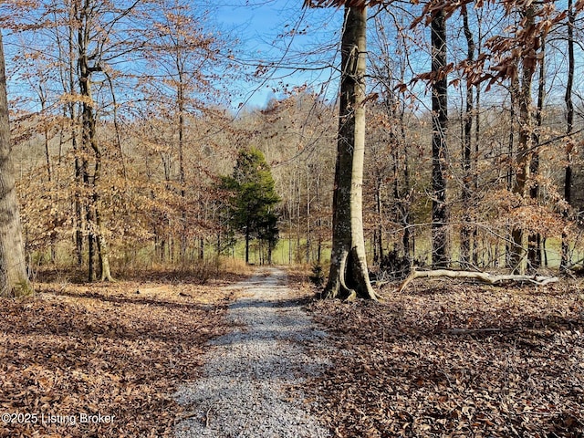 view of road