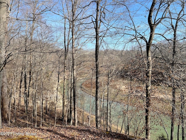 view of landscape