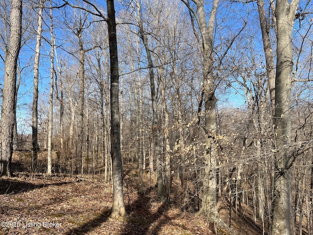 view of local wilderness