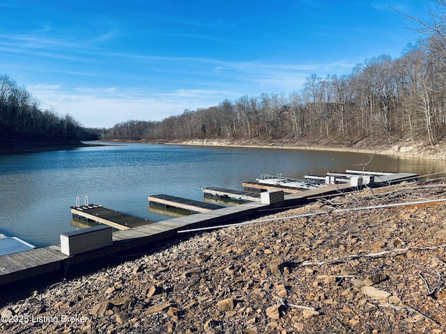 view of dock with a water view