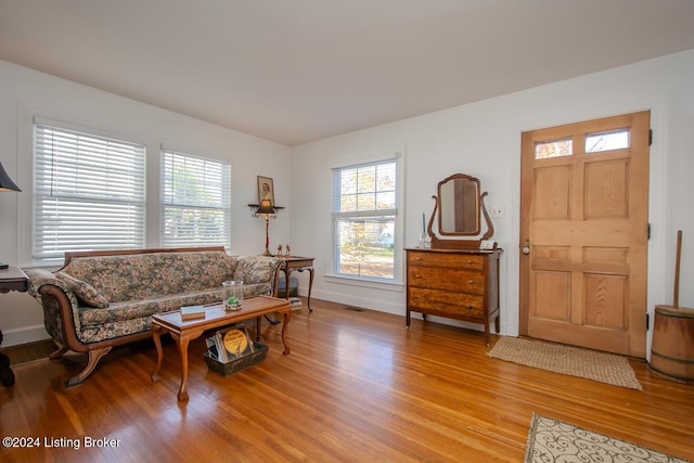 living room with a healthy amount of sunlight and light wood-type flooring