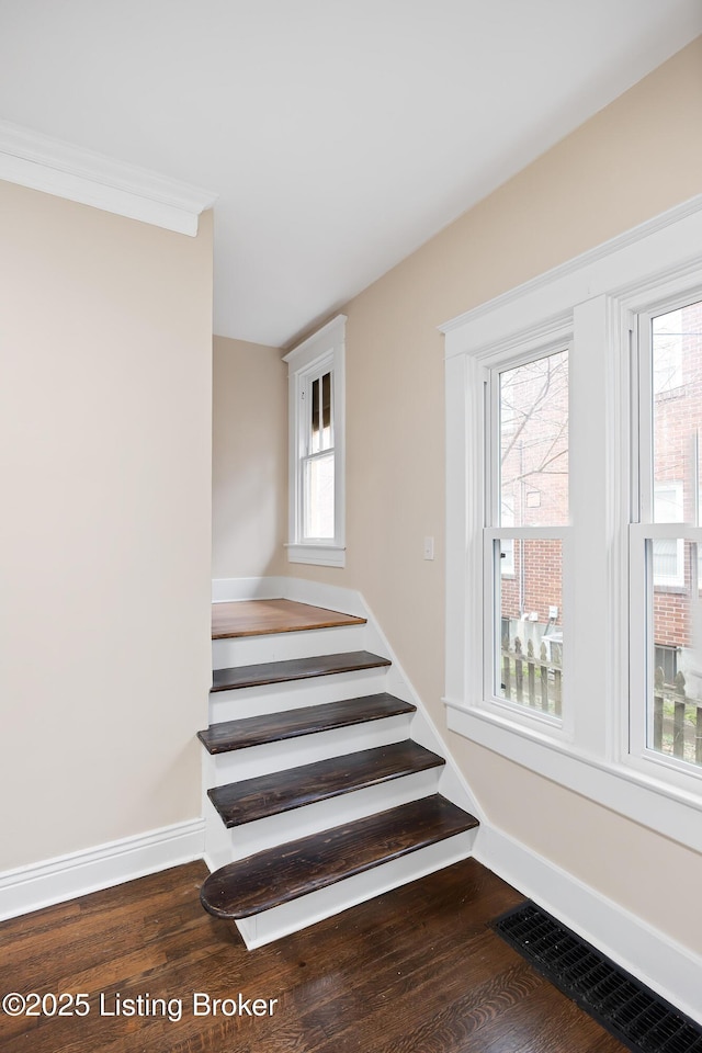 stairway featuring hardwood / wood-style floors