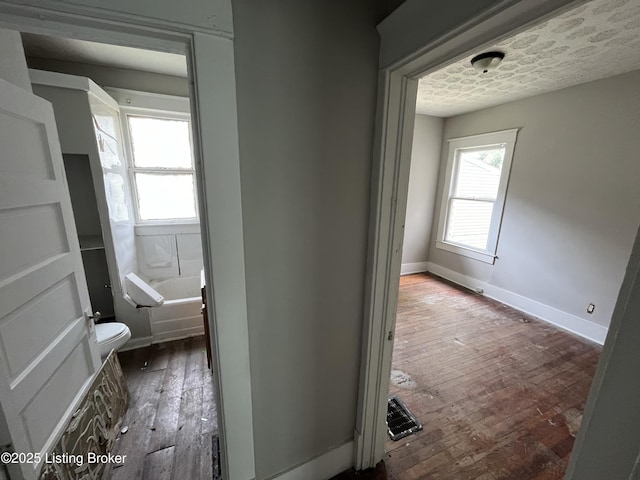 hall featuring dark hardwood / wood-style flooring and a textured ceiling