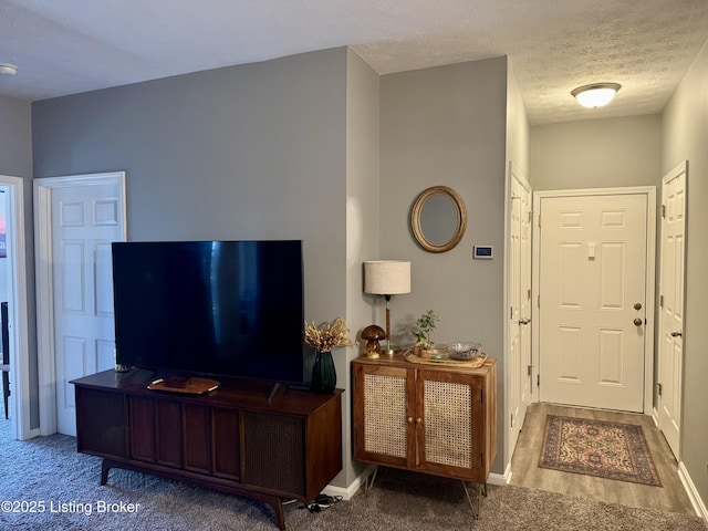 living room featuring a textured ceiling and carpet