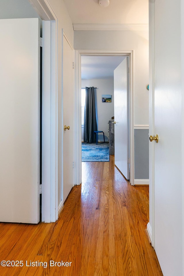 hallway with crown molding and light wood-type flooring