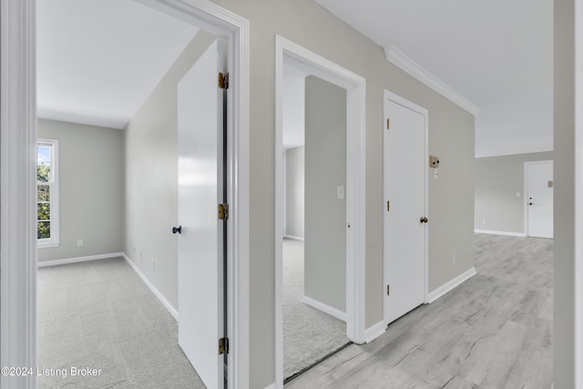 corridor with ornamental molding and light colored carpet