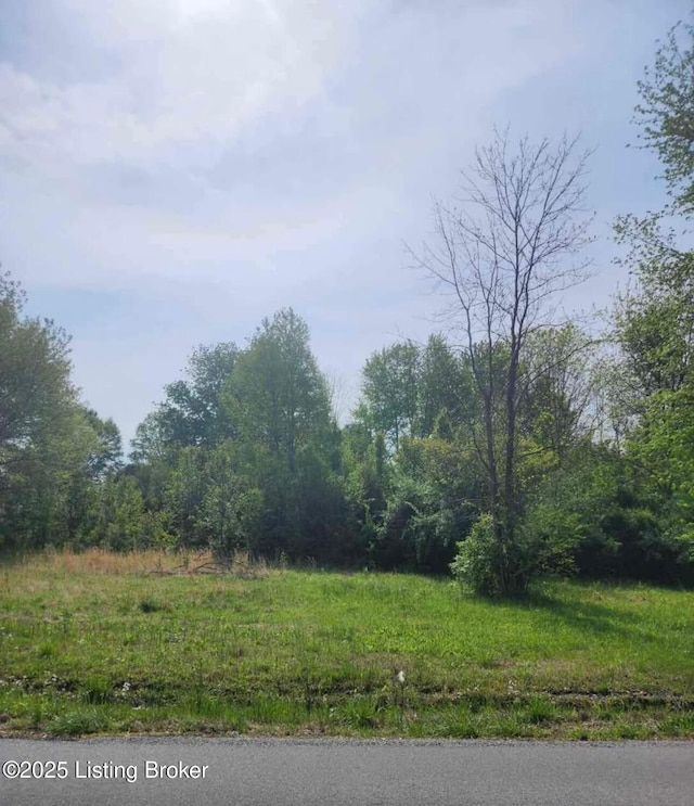 LOT19 Lynn Ct, Bardstown KY, 40004 land for sale