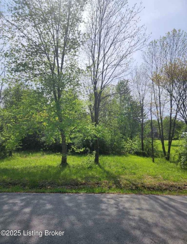 Listing photo 3 for LOT19 Lynn Ct, Bardstown KY 40004