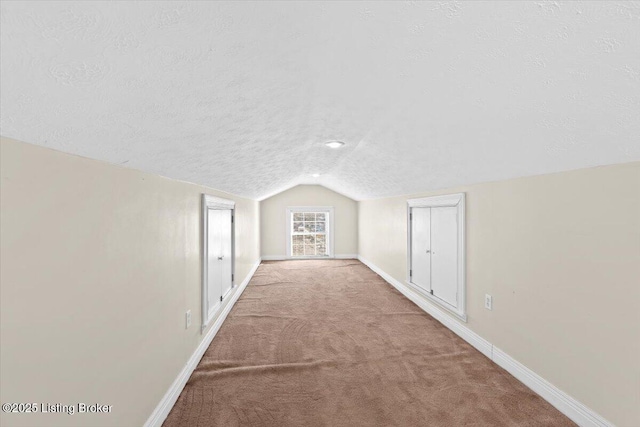 additional living space featuring lofted ceiling, light carpet, and a textured ceiling