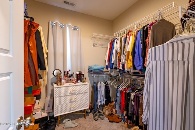 spacious closet with carpet