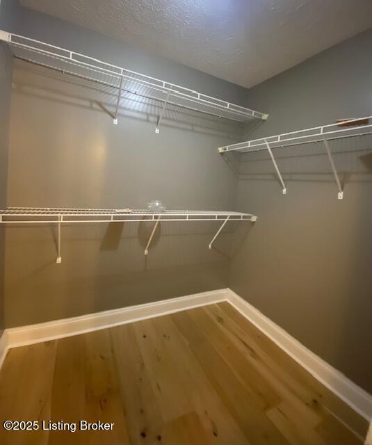 spacious closet with hardwood / wood-style floors