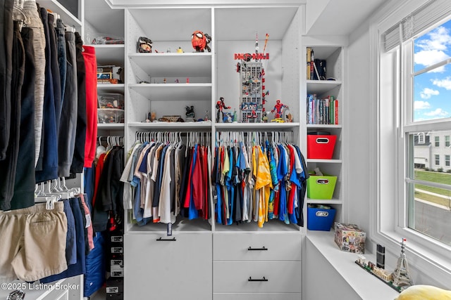 view of spacious closet