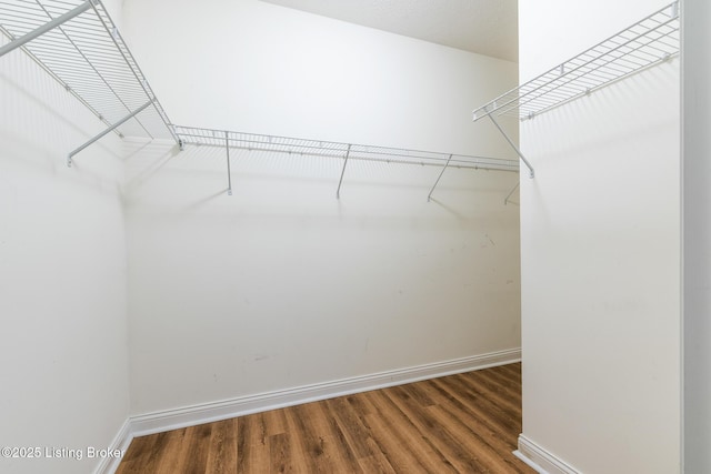 walk in closet with hardwood / wood-style flooring