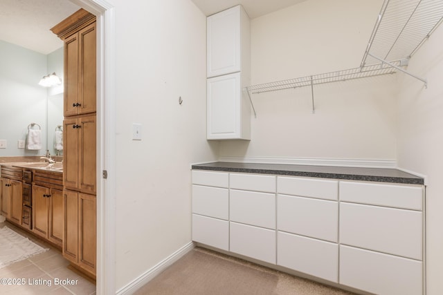 walk in closet featuring sink