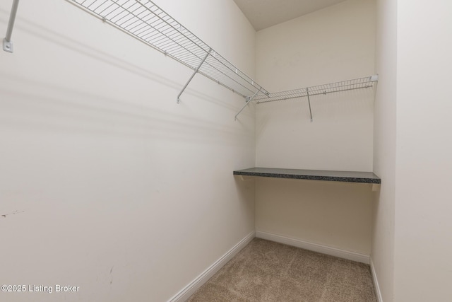 spacious closet with light carpet