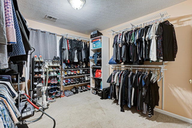 spacious closet featuring carpet flooring