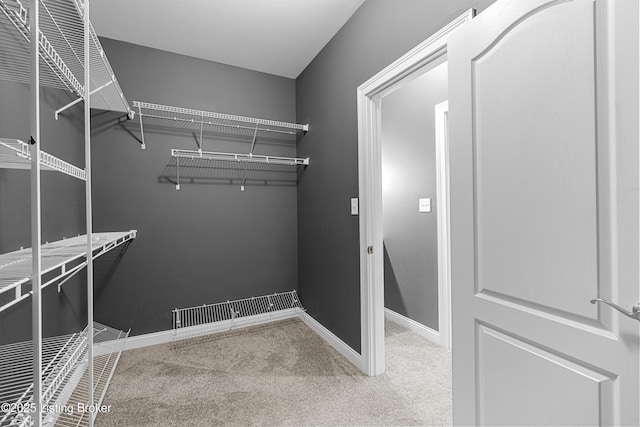 spacious closet with carpet flooring