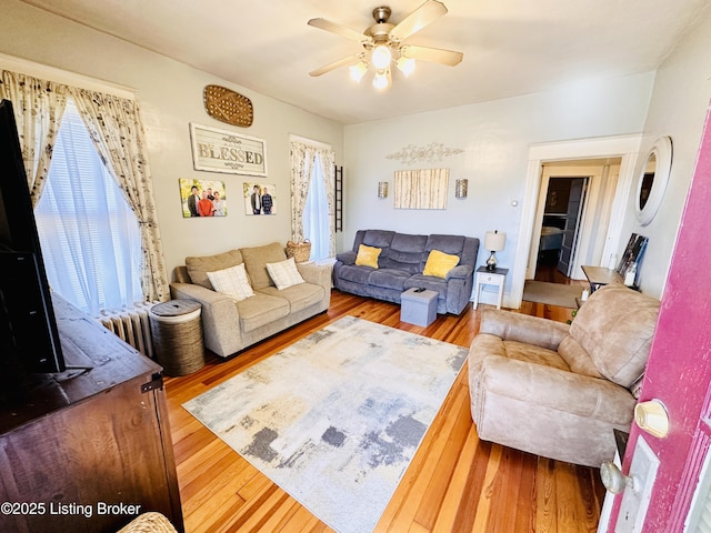 living room with ceiling fan, radiator heating unit, and hardwood / wood-style floors