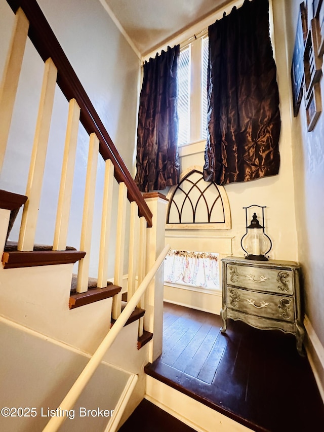 staircase featuring wood-type flooring