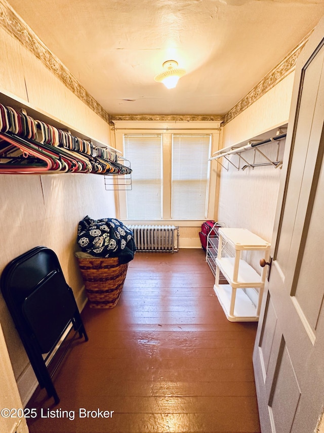 spacious closet with radiator heating unit and dark hardwood / wood-style flooring