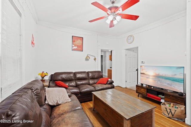 living room with wood-type flooring, ornamental molding, and ceiling fan