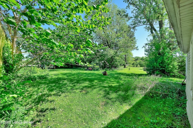 105 Sherman St, Millwood, KY 42762 - view of green lawn