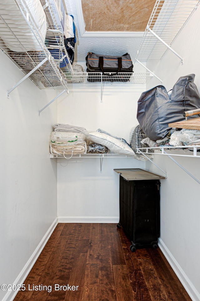 spacious closet featuring dark hardwood / wood-style flooring