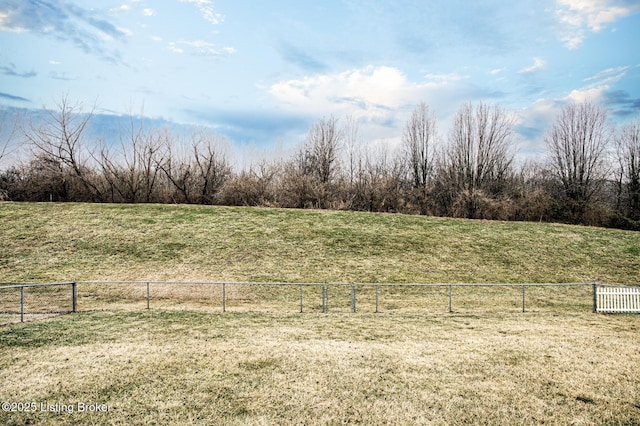 view of yard with a rural view