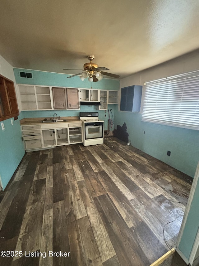 kitchen featuring sink, dark hardwood / wood-style floors, gas range gas stove, and ceiling fan