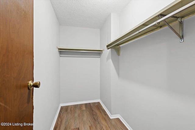 spacious closet featuring hardwood / wood-style floors