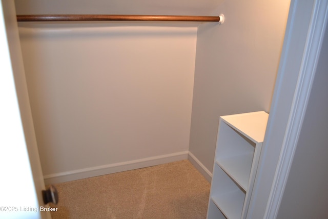 spacious closet with carpet flooring