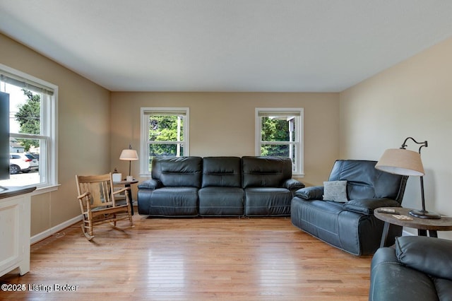 living room featuring light hardwood / wood-style flooring