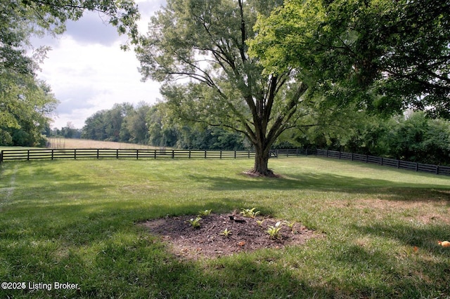 view of yard with a rural view