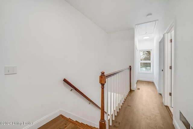 hall featuring light hardwood / wood-style floors