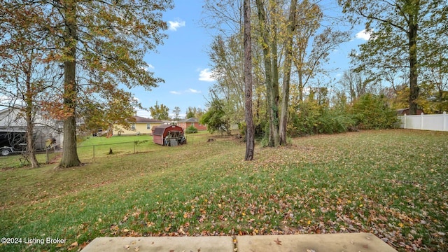 view of yard featuring a storage shed