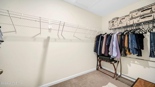 walk in closet featuring carpet