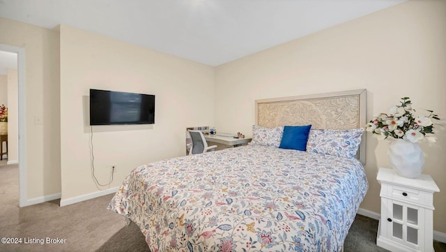 bedroom with carpet floors