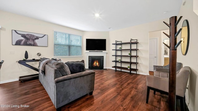 living room featuring dark hardwood / wood-style flooring