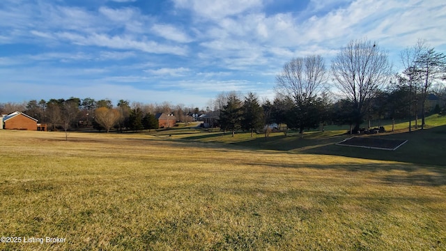 view of yard