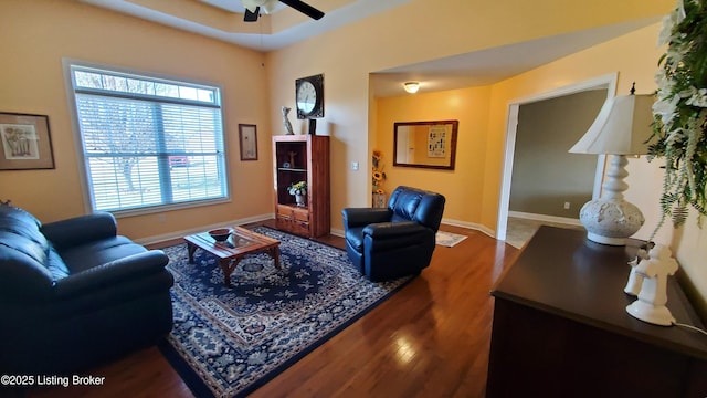 living room with hardwood / wood-style floors and ceiling fan