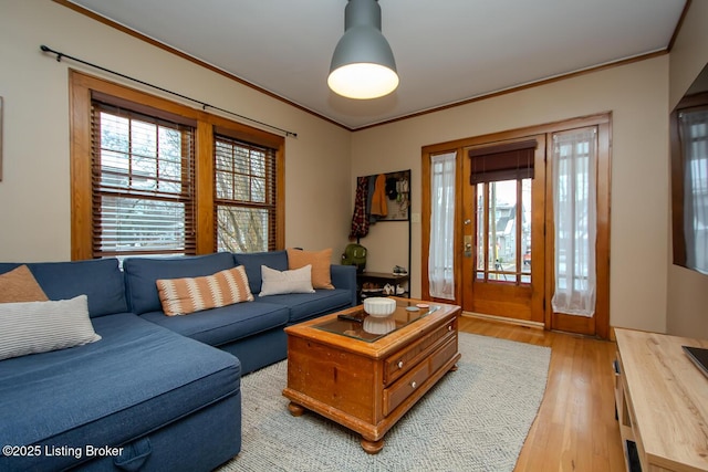 living room featuring crown molding, a wealth of natural light, and light hardwood / wood-style floors