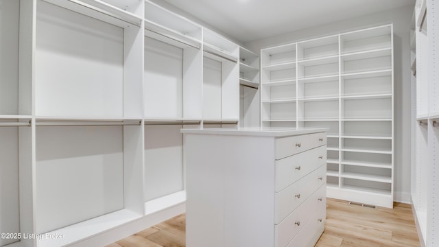 spacious closet with light wood-type flooring