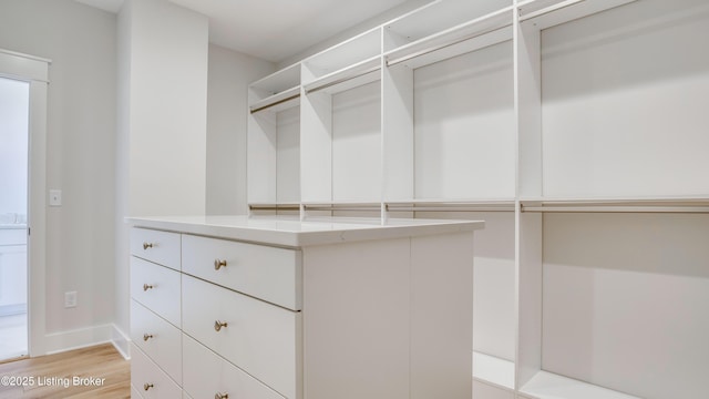 spacious closet with light hardwood / wood-style floors