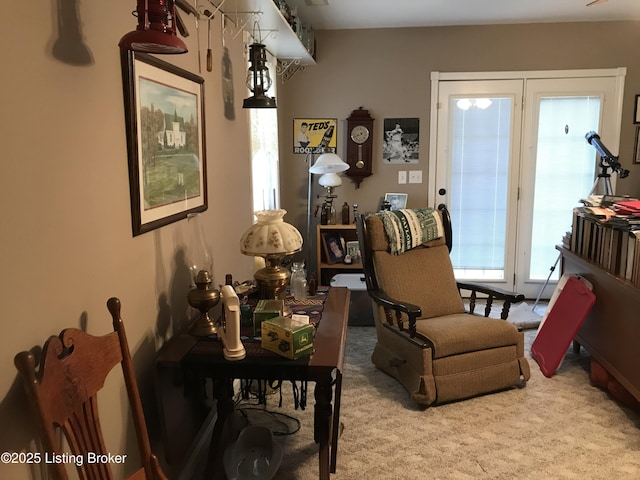 living area with light colored carpet