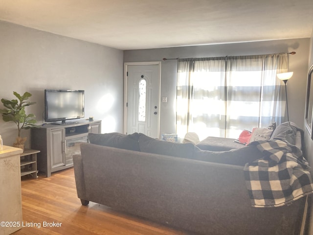 living room with light hardwood / wood-style floors