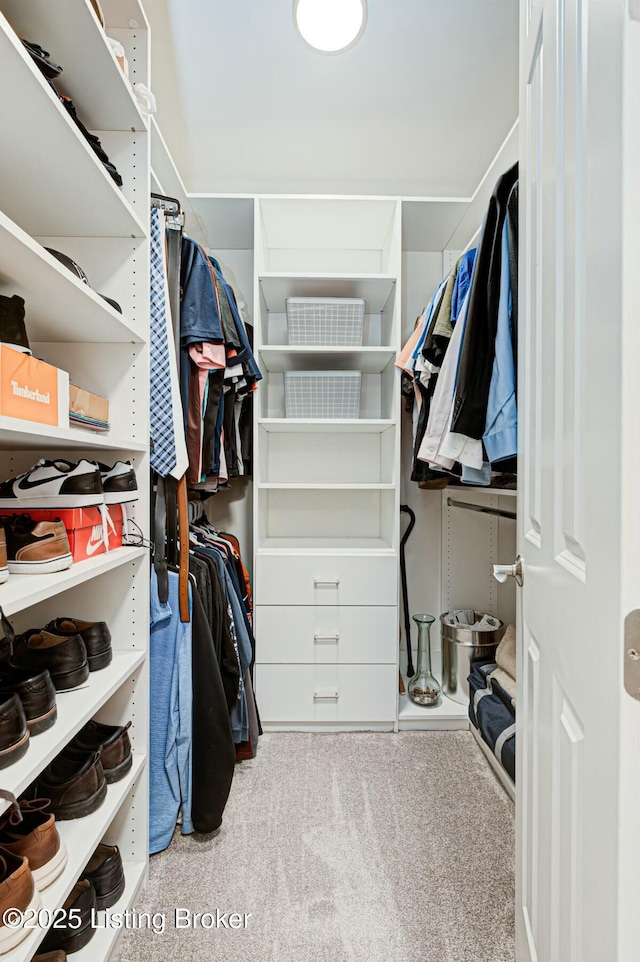 spacious closet featuring light carpet