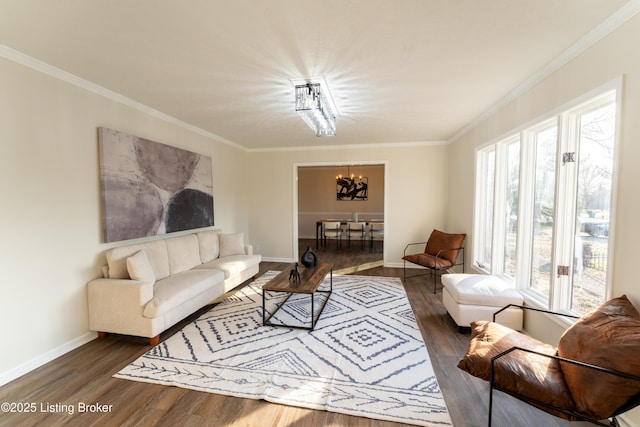 living room with a notable chandelier, dark wood-type flooring, and ornamental molding