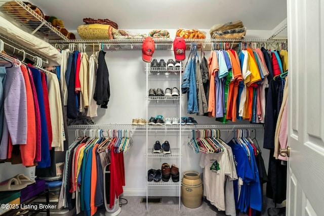 view of spacious closet