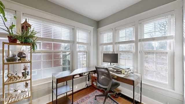 office space featuring hardwood / wood-style flooring and a wealth of natural light